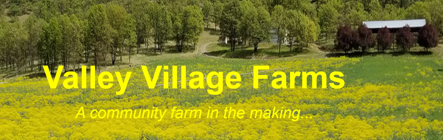 Valley Village Farms logo